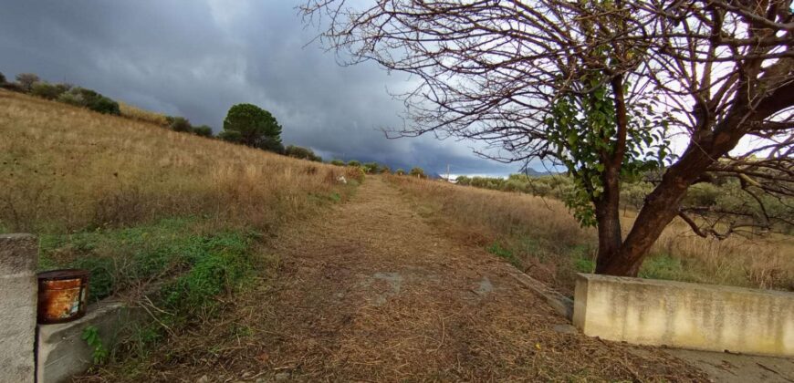 Bolognetta: Terreno Contrada Torretta